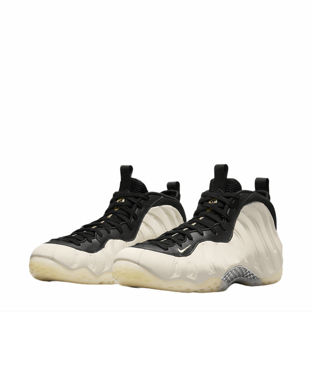 AIR FOAMPOSITE ONE