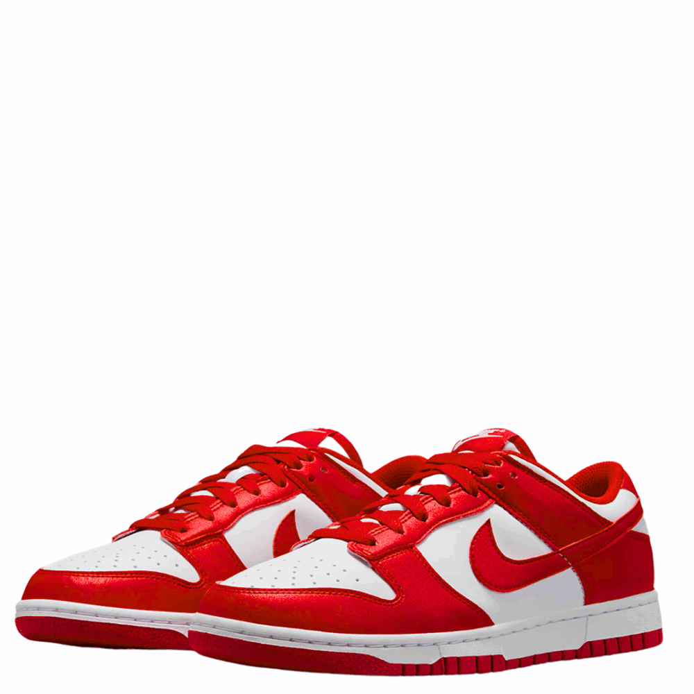 Nike Dunk Low Next Nature