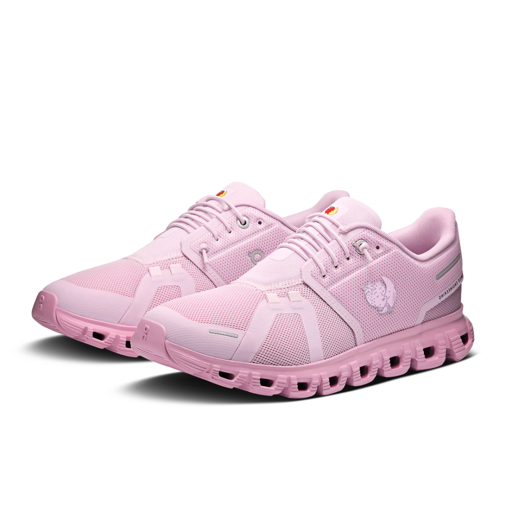 Cloud 6 SHF Aster | Begonia